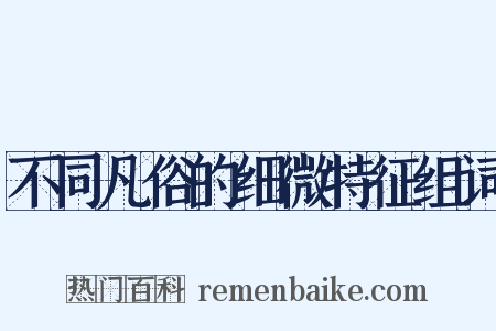 不同凡俗的细微特征组词是什么意思的图片